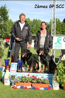 Bastet et Chérie 2ème du grand prix SCC en ring!